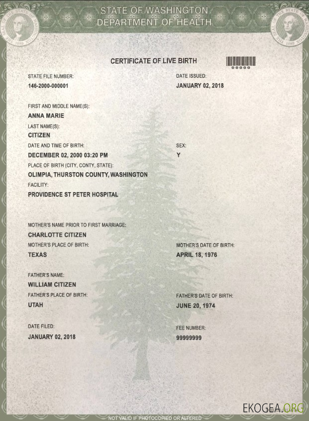 Modèle de certificat de naissance de l'État de Washington aux États Unis au format PSD